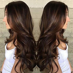 Long Natural Wave Brown Wigs Heat Resistant Wigs for Women